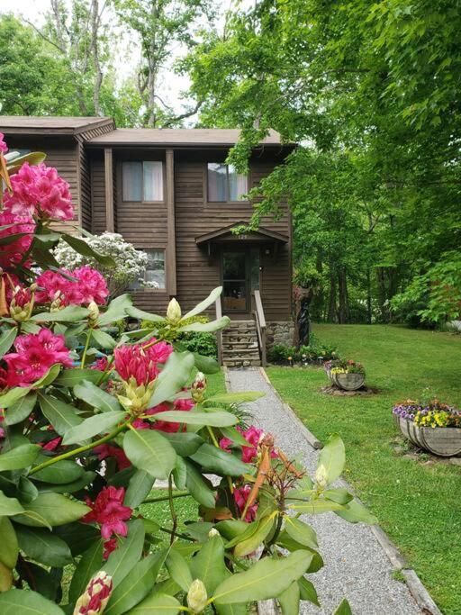 Villa J.Creek Retreat, Creekside Townhouse +1 Car Garage Maggie Valley Exterior foto